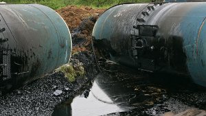 Zwei Unbekannte haben sich auf einem Werkstoffhof in Herrenberg eines alten Tanks mit 150 Litern Heizöl entledigt. Das Öl versickerte im Erdreich. (Symbolbild) Foto: Shutterstock/Vasily Smirnov