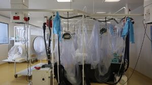 Ein Brite sowie ein WHO-Mitarbeiter sind mit dem Ebola-Virus infiziert. Foto: Getty Images Europe