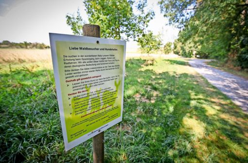 Über Regeln für Hundebesitzer klärt jetzt ein Schild am Eingang zum Seewald in Korntal-Münchingen auf. Foto: factum/Granville