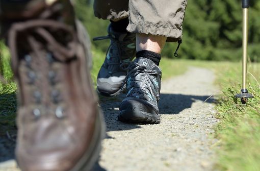 Zwei Wanderer sind in den österreichischen Bergen ums Leben gekommen (Symbolfoto). Foto: dpa