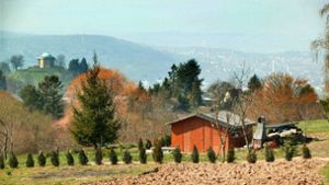 Naherholungsgebiet in Stuttgart-Untertürkheim: Photovoltaik auf der Egelseer Heide gefordert