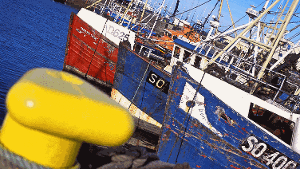 Bunte Fischkutter im Hafen von Howth in Dublin Bay.  Foto: Werner Dietrich