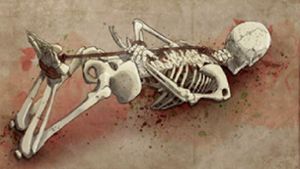 Europas rituelle Opfer: In der Jungsteinzeit wurden Menschen durch Fesseln und langsames Selbsterdrosseln auf sehr qualvolle Weise getötet. Foto: © N. Senegas; Ludes et al./Science Advances/CC-by 4.0