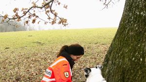 Gefunden! Rettungshund Leo hat beim Training eine Person aufgespürt. Foto: Jens Noll