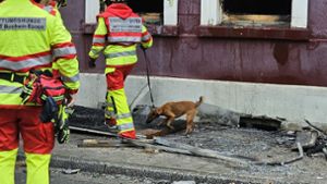 Ein Spürhund sucht in den Trümmern des Essener Wohnhauses. Foto: dpa/Markus Gayk