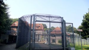 Ein Zaun mit Stacheldraht in Bedburg-Hau (Nordrhein-Westfalen) vor der LVR-Klinik. Foto: dpa