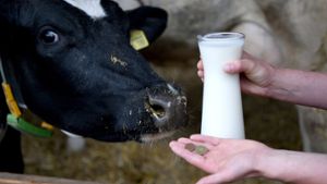 Milch hat ihren Preis – aber keinen hohen. Deshalb ist die Existenz vieler kleiner Milchhöfe bedroht. Auf einem Gipfel am kommenden Montag in Berlin geht es um Hilfe für die betroffenen Betriebe. Foto: dpa