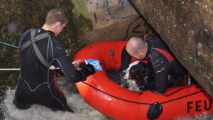 Der Augenblick, als den Besitzern ein Stein vom Herzen fiel: Das Rettungsboot kommt aus dem Kanal - mit Benny an Bord. Foto: Andreas Rosar Fotoagentur-Stuttgart