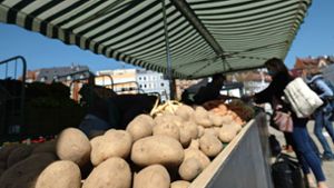 Der Bio-Wochenmarkt auf dem Marienplatz richtet sich an Kunden, die sich gesund und nachhaltig ernähren wollen. Foto: Lichtgut/Leif Piechowski