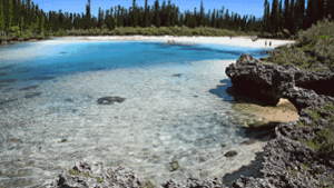 Zu Neukaledonien gehört auch Ile des Pins, eine Insel mit weißen Sandstränden und türkisfarbenem Wasser. Foto: Schumacher