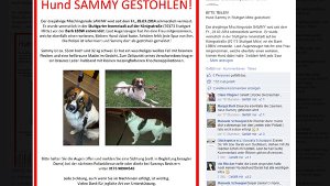Mit Aufrufen wie diesem möchten Tierschutzvereine wie der Glückspelze e.V. helfen, den Mischling Sammy zu finden. Foto: facebook.com/Glueckspelze (Screenshot SIR)