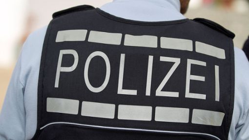 Der 24-Jährige hat das Hausverbot missachtet und wurde gegenüber Mitarbeitern der Deutschen Bahn und der Polizei aggressiv (Symbolbild). Foto: Eibner-Pressefoto/Fleig/Eibner-Pressefoto
