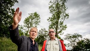 Volker Schirner (links) und Bodo Siegert schauen sich die vor vier Jahren umgesetzten Bäume aus dem Stuttgarter Schlossgarten an. Dazu zählen auch die beiden auffallend schlanken Platanen im Hintergrund Foto: Lichtgut/Leif Piechowski