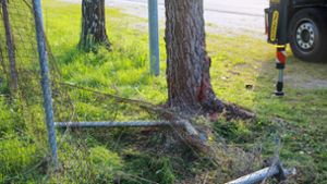 Die Frau beschädigte den Zaun auf einer Strecke von etwa 20 Metern. Foto: SDMG