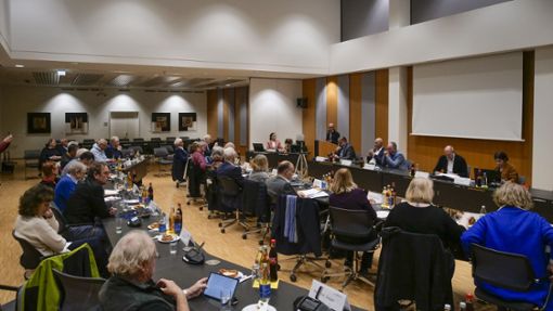 Im Leonberger Gemeinderat geht es nicht immer harmonisch zu. Am 9. Juni wird nicht nur dessen Besetzung neu bestimmt. Foto: Simon Granville