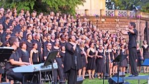 Stattliche Kulisse; Die 250 Sänger des Chors „Gospel im Osten“ haben den Park der Villa Berg am Samstag in eine große Bühne   verwandelt. Foto: Caroline Leibfritz