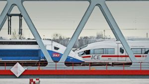 Ein TGV und ein ICE (r) stehen am 10.12.2010 auf der Rheinbrücke in Kehl. Foto: dpa