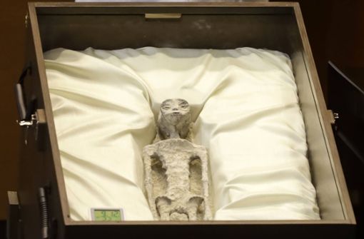 Bei diesem Artefakt, das der Journalist Jaime Maussan im mexikanischen Parlament gezeigt hat, soll es sich um die Mumie eines angeblichen Außerirdischen handeln. Foto: Imago/Eyepix Group
