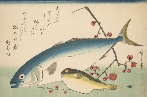 Utagawa Hiroshige: „Zwei Fische und ein blühender Pflaumenzweig“, Farbholzschnitt um 1837 Foto: Museum