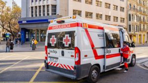 Medizinisches Personal  wurde unmittelbar an die Unglücksstelle entsandt (Symbolfoto). Foto: Shutterstock/Vivitta