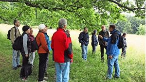 Wolfgang Wagner (rechts in blauer Jacke) erklärt, welche Pflanzen auf den Wiesen des Eichenhains gedeihen. Foto:  