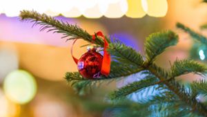 Von wegen „fröhliche Weihnacht“ – in Hattenhofen haben Diebe eine ganz besondere Tanne gestohlen. Foto: imago stock&people
