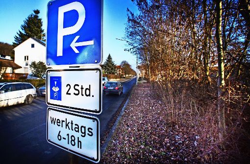 Zwei Stunden Parken mit Parkscheibe sind bald Vergangenheit: Auf der verwilderten Fläche an der Uhinger Eisenbahnstraße werden 40 Park-&-Ride-Plätze angelegt. Foto: Ines Rudel