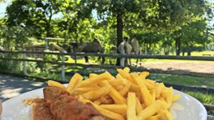 Im Hintergrund grasen Kamele, der Gast bevorzugt Currywurst mit Pommes. Foto: Decksmann