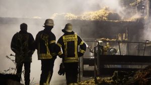Der Stall in Vaihingen/Enz brannt komplett aus. Foto: SDMG