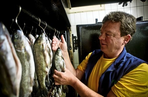 Hermann Pöschl züchtet in Denkendorf bei Esslingen Forellen. In Deutschland ist die Fischzucht jedoch weit unter ihren Möglichkeiten Foto: Max Kovalenko