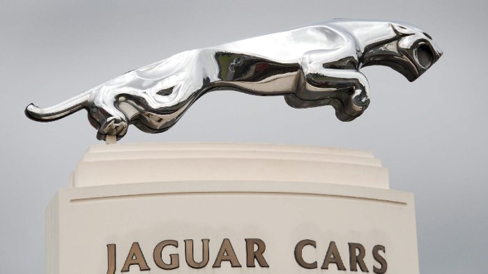 Mit Jaguar in einen Zaun gerast