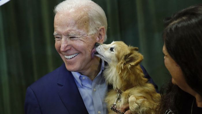 Diese Hunde ziehen mit Joe Biden ins Weiße Haus ein
