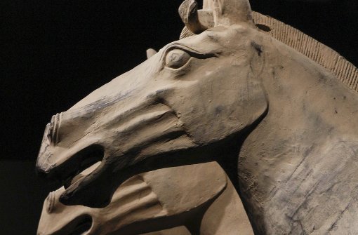 Nicht nur Krieger, auch ein Gespann mit vier Pferden gehört zur Grabbeigabe. Foto: factum/Bach