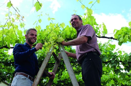 Andreas (links) und Markus Dobler setzen im Weinberg auf solide Handarbeit. Foto: Weingut Dobler/Isabel Dobler