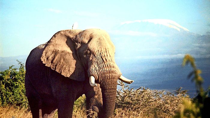 Welterbe-Reservat in Tansania bedroht