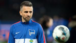 Vedad Ibisevic will künftig für den FC Schalke 04 auf Torejagd gehen. Foto: dpa/Soeren Stache