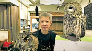 Motohiro Mizuhara betreibt das Eulencafé „Hoot Hoot“ in Tokio. Foto: dpa