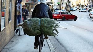 Das Fahrrad hat in Echterdingen seinen Eignungstest als Christbaum-Transportmittel bestanden. Foto: Natalie Kanter