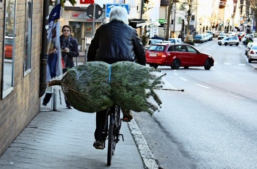Das Fahrrad hat in Echterdingen seinen Eignungstest als Christbaum-Transportmittel bestanden. Foto: Natalie Kanter