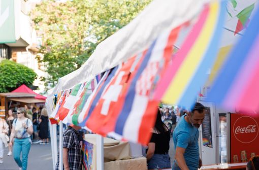 Ob beim Internationalen  Straßenfest oder der  diesjährigen Biennale:  Sindelfingen lebt und feiert  Vielfalt. Foto: Stefanie Schlecht/Stefanie Schlecht