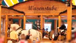 Vergaloppiert? Eine Pferdekutsche rollt vor Publikum durch ein Festzelt auf dem Wasen. Foto: Screenshot/Peta Deutschland