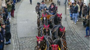 Der Umzug: Er ist der Höhepunkt des Pferdemarkts. Foto: Simon Granville