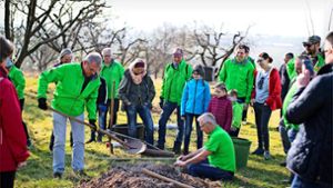 Frühling 2022: Erste Pflanzung für das  Streuobstwiesenprojekt in Oeffingen Foto: Guido Scheffler