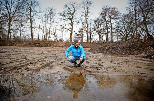Holger Kappich will den See Ende nächsten Jahres wieder fluten lassen. Zuvor muss  der Schlamm  abtransportiert werden. Foto: factum/Granville