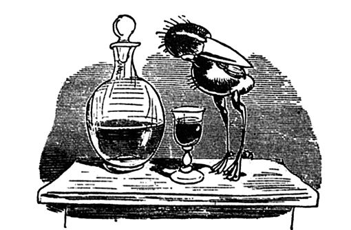 Unglücksrabe: „Jetzt aber naht sich das Malör, Denn dies Getränke ist Likör“ (Bild aus Wilhelm Buschs „Hans Huckebein, der Unglücksrabe“, 1867/68). Foto: Wikipedia commons/Wilhelm Busch
