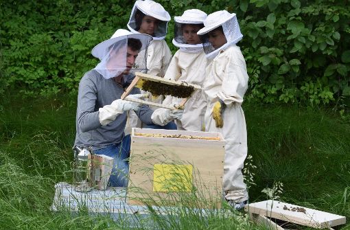 Lukas Häring ist Imker und Pädagoge an der Fasanenhofschule. Er zeigt den Kindern sein Bienenvolk. Foto: Alexandra Kratz