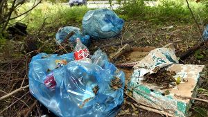 Müllentsorgung auf Kosten der Natur. Foto: Archiv
