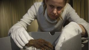 Die Mumienhand stammt aus Ägypten  – ein Stadtrat hat sie im 19. Jahrhundert nach Ludwigsburg gebracht. Foto: factum/Bach