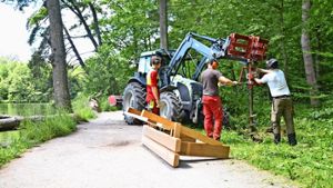 Mitarbeiter des Forstamts setzen neue Bänke am Pfaffensee Foto: Sandra Hintermayr
