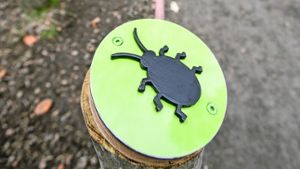 Verständliche Symbole wie der Käfer sollen das Geschehen im Wald erklären. Foto: Lichtgut/Leif Piechowski